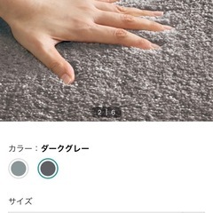 問い合わせ殺到しており新規問い合わせ受付しておりません🙇‍♀️ニトリ　ラグ　グレーの画像