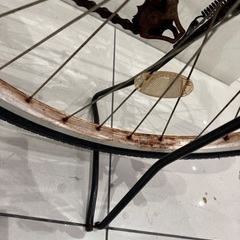 自転車　福岡市からの画像