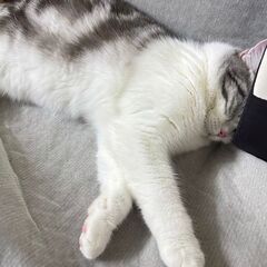 友情募集LINE友達になりたい🙌🙆‍♀️❗