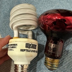 【お話中】爬虫類用ライトスタンドの画像