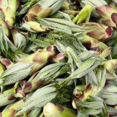 道南産天然ハリキリ200g