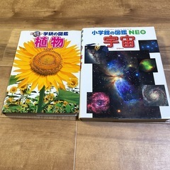 絵本まとめ売りの画像
