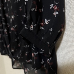 ブラウス シアーシャツ花柄 ᒪの画像