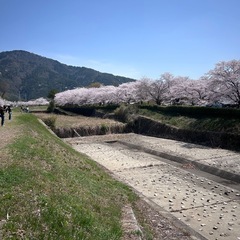 お散歩ツーリングメンバー募集！