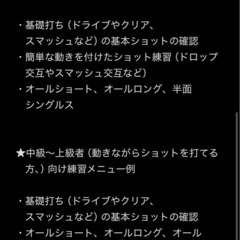 東京　バドミントン個人・グループレッスン【どんなレベルの方でも大歓迎です！】Private Badminton lesson in Tokyoの画像