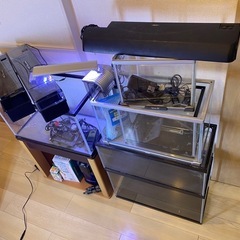 水槽用品まとめ売りの画像