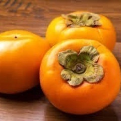 語学や勉強好きな方