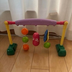 うちの赤ちゃん世界一 新生児から遊べるベビージム ピープル