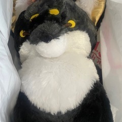 ちょコンときつね プライズ品 こくとう BIGぬいぐるみ