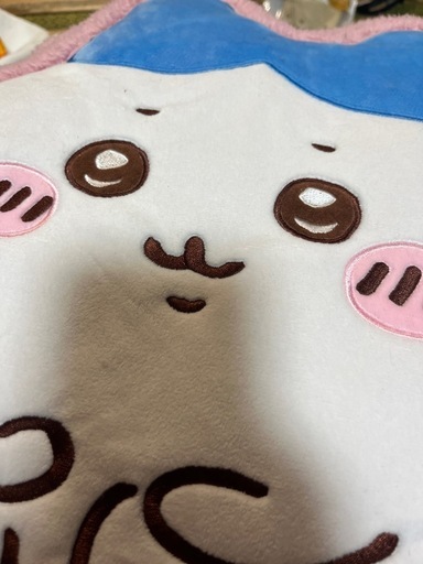 ハチワレクッションでかい