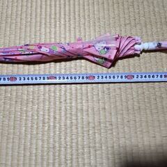 ハローキティ　傘　幼児の画像