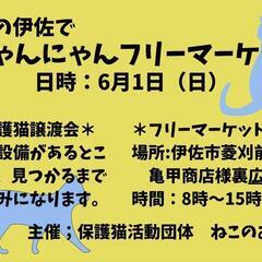 伊佐でにゃんにゃんフリーマーケット