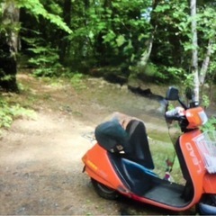 ホンダ　リード　LEAD 50cc？　1980年製ころ？の画像