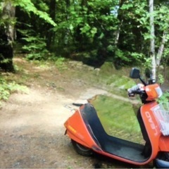 ホンダ　リード　LEAD 50cc？　1980年製ころ？の画像