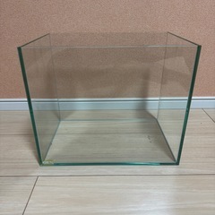 GEX 30cm水槽 ②