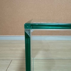 GEX 30cm水槽 ②の画像