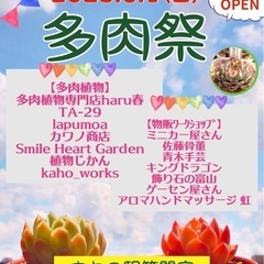 2025  6/1「多肉祭」と昔ながらの「青空市」フリーマーケット