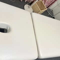 電動昇降リクライニングベット
