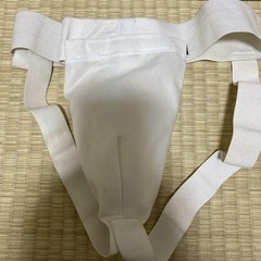 空手ファウルカップ