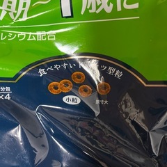売り切り！！ドックフードファーストチョイス子犬用2.4キロお一つ譲ります！の画像