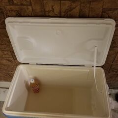　igloo　イグルー　クーラーボックス　大きなサイズの画像
