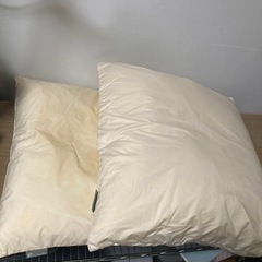 座布団2枚
