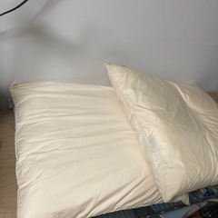 座布団2枚の画像