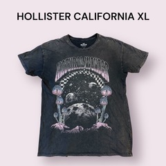 HOLLISTER CALIFORNIA グラフィック Tシャツ...