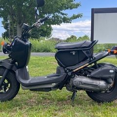 ZOOMER AF58 ホンダ 実働 50㏄ 書類有 自賠責有 即乗り出しの画像