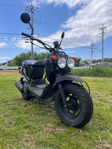 ZOOMER AF58 ホンダ 実働 50㏄ 書類有 自賠責有 即乗り出し