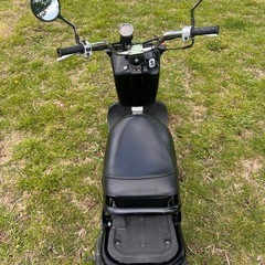 ZOOMER AF58 ホンダ 実働 50㏄ 書類有 自賠責有 即乗り出しの画像