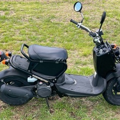 ZOOMER AF58 ホンダ 実働 50㏄ 書類有 自賠責有 即乗り出しの画像