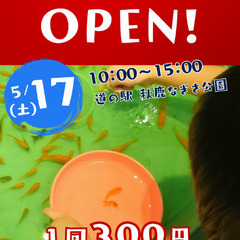5/17　道の駅秋鹿なぎさ公園にて金魚すくい開催！