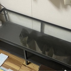 家具(ローテーブル、ガラステーブル)無料