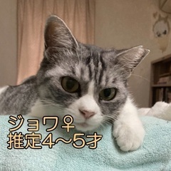 🍀明日‼️５月１１日(日)緊急臨時開催‼️🐈すみれペットク…
