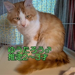 🍀明日‼️５月１１日(日)緊急臨時開催‼️🐈すみれペットク…