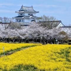 友達募集