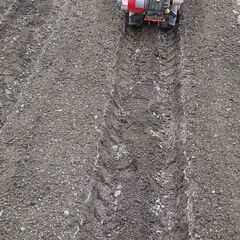 管理機　シバウ　ララッカルRC600実働　耕運　畝立て