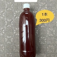 【ゆうメダカ】PSB 1リットル 300円