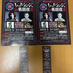 【2枚セット1万円が1枚の値段の半額2500円‼︎】レッドシュー...