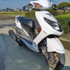 シグナスX SE464｜社外マフラー・新品外装付き！実働・書類付き
