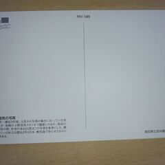 ポストカード　坂本龍馬①の画像