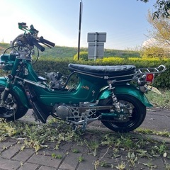 ホンダシャリーフルカスタム改の画像