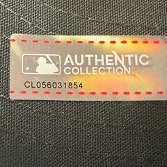 長貴重品、デコピンと大谷のサイン背番号刺繍にドジャーススタジアム購入レアキャップの画像