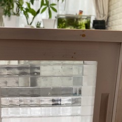 フードショーケース　レトロの画像