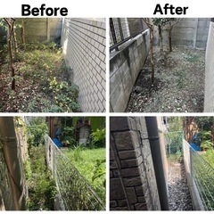 草むしり、草刈、（即日対応）