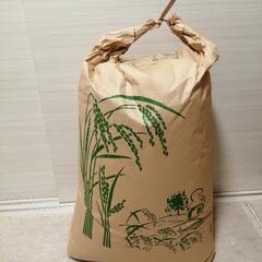 玄米30kg 令和６年産コシヒカリ