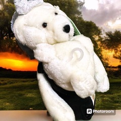 ニューヨーク郵便局限定品【N.Y.USA.】Wedding Stamp Bears USPS限定【非売品】ウェディング テディーベアー【無保証品】高さ20cm x 横幅19cm 厚み12cmの画像