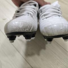 Mizuno Morelia Neo ホワイト サッカースパイク24.5の画像
