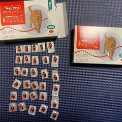 猫用アンチノール